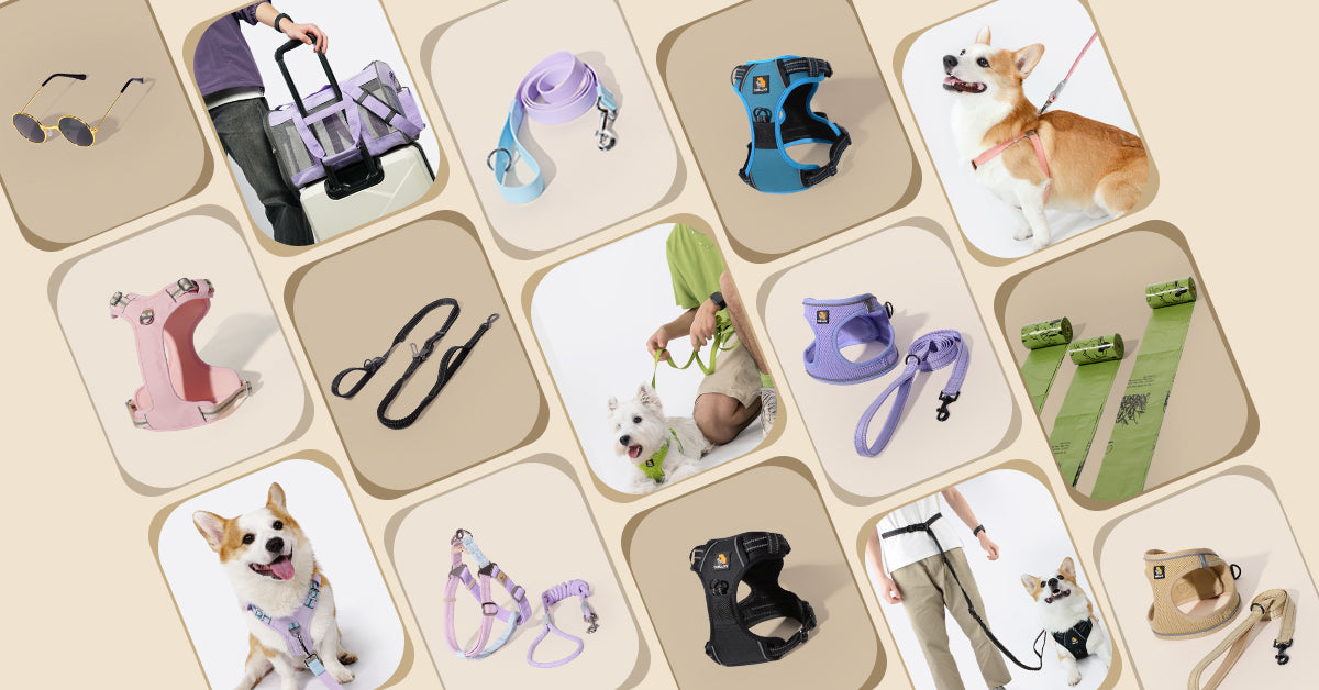 Bella & Pal | Stylish Pet Essentials | 15% off using code: OPAL15