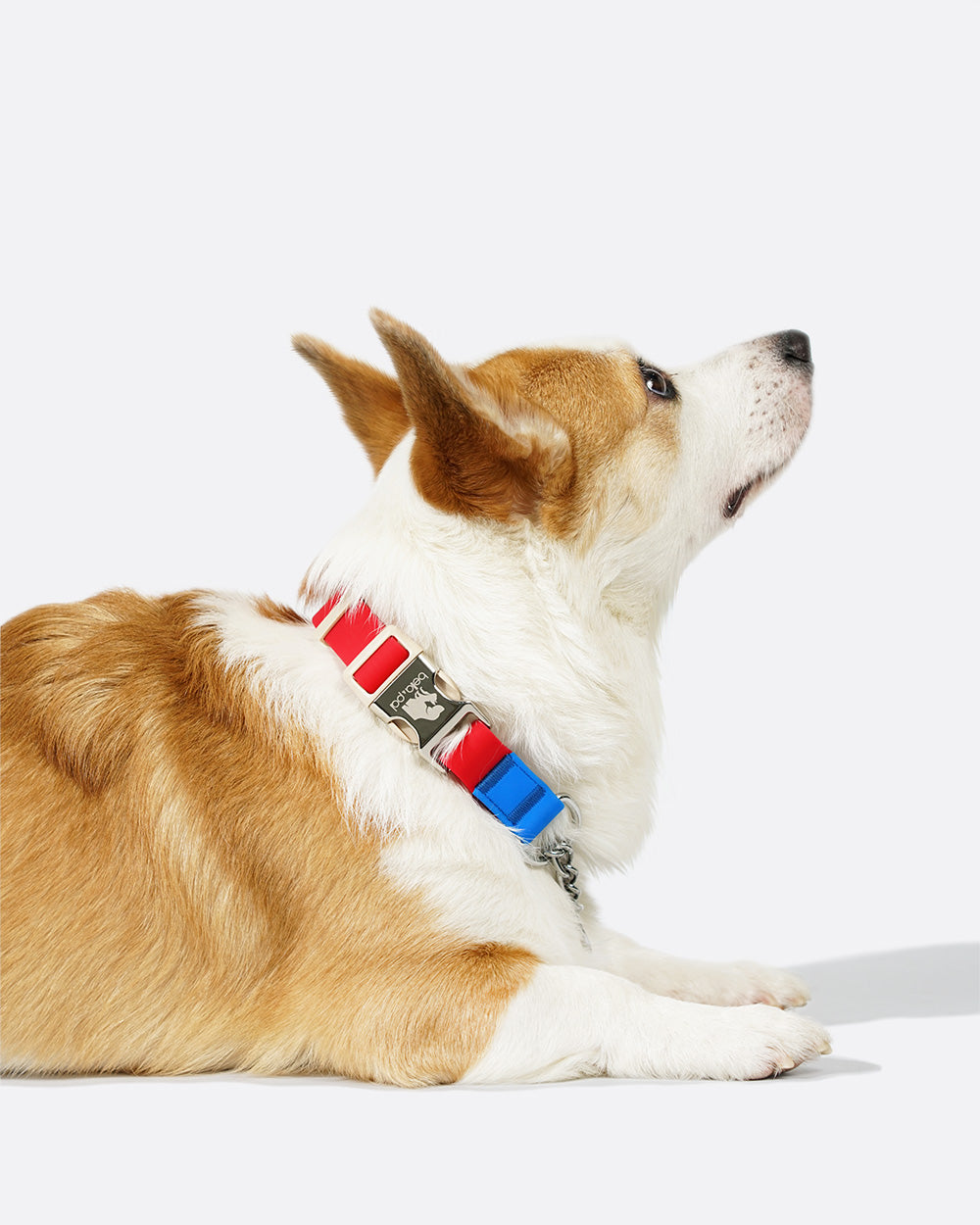 No-pull collars for medium and large dogs, available in sizes M and L. Made with waterproof PVC material, easy to clean for daily use. Red with Blue Colors