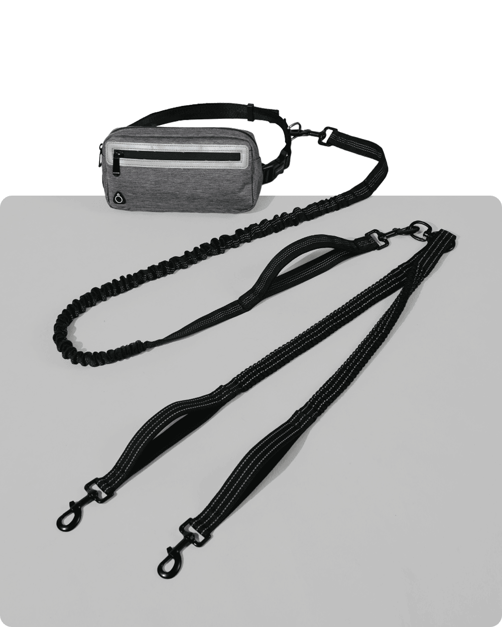 Hands-Free Double Dog Leash with Pouch For Dogs BELLA PAL
