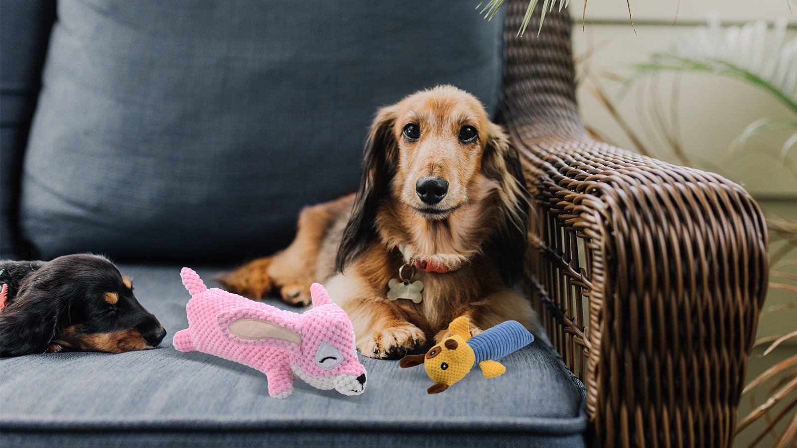 How To Pick The Toys For Your Pup?