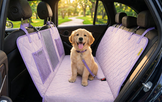 What Is a Back Seat Extender for Dogs? The Complete Guide for Safer, More Comfortable Car Rides