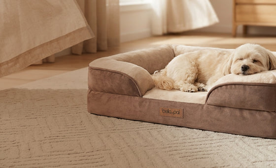 SnugNest Classic Orthopedic Dog Bed