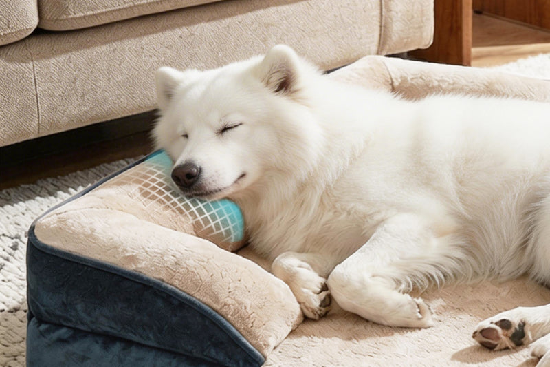 Protection - Bella & Pal Orthopedic Dog Bed