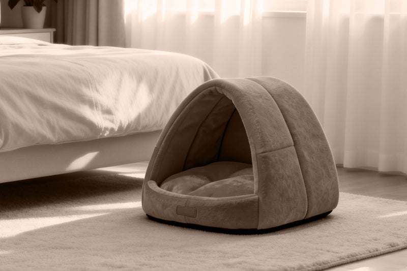 Design - Ordinary Dog Bed