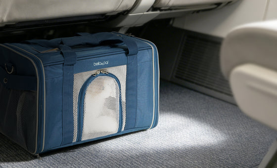 Rolling Pet Travel Carrier