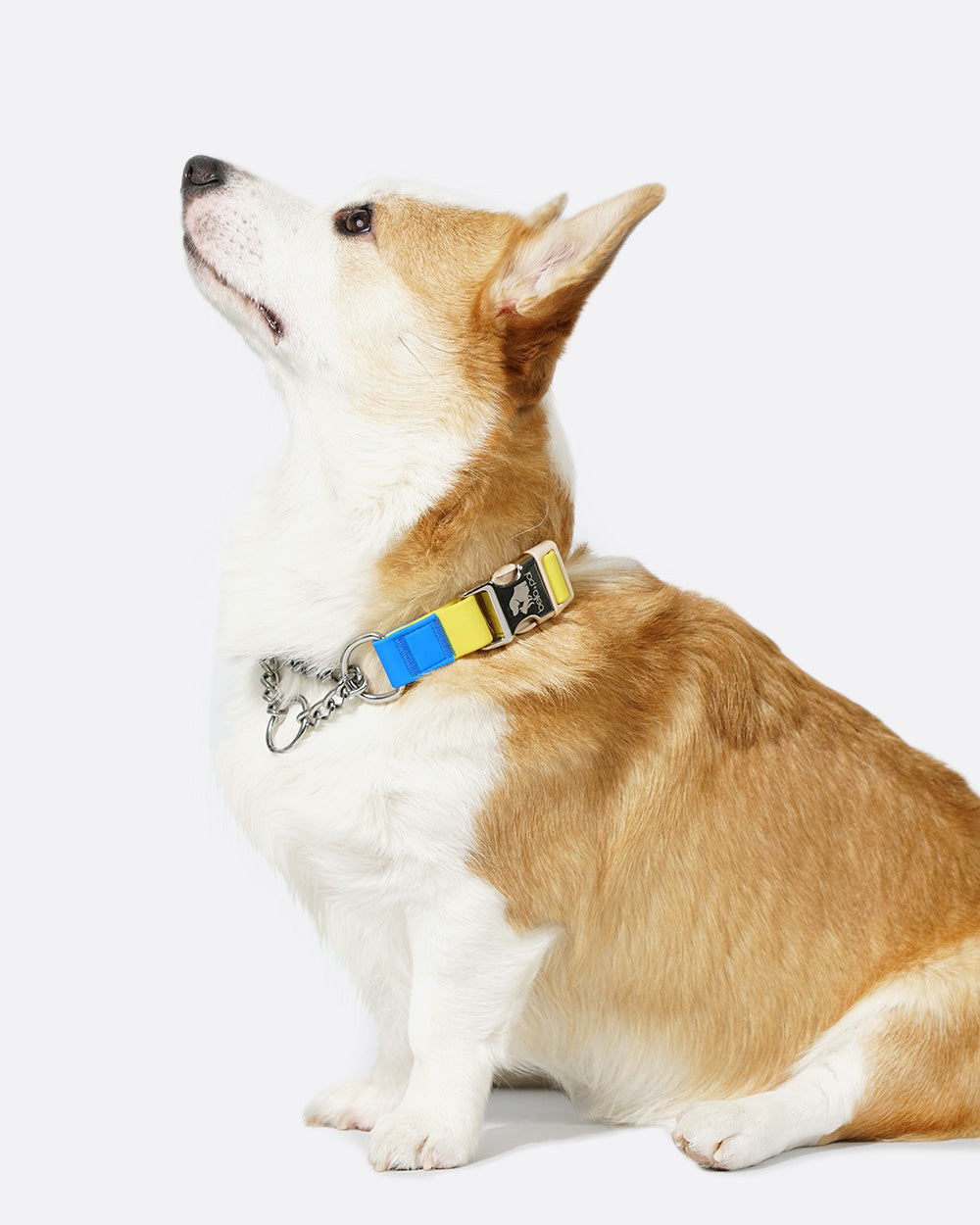 No-pull collars for medium and large dogs, available in sizes M and L. Made with waterproof PVC material, easy to clean for daily use. Yellow with Blue Colors