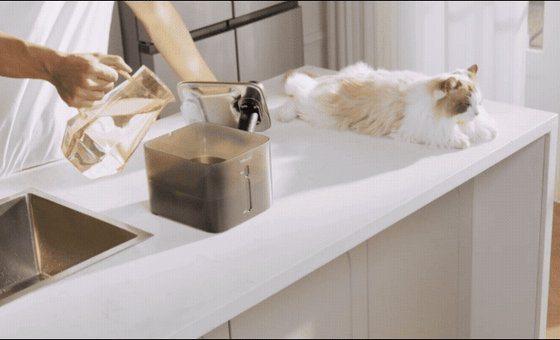 Wireless Pet Water Fountain