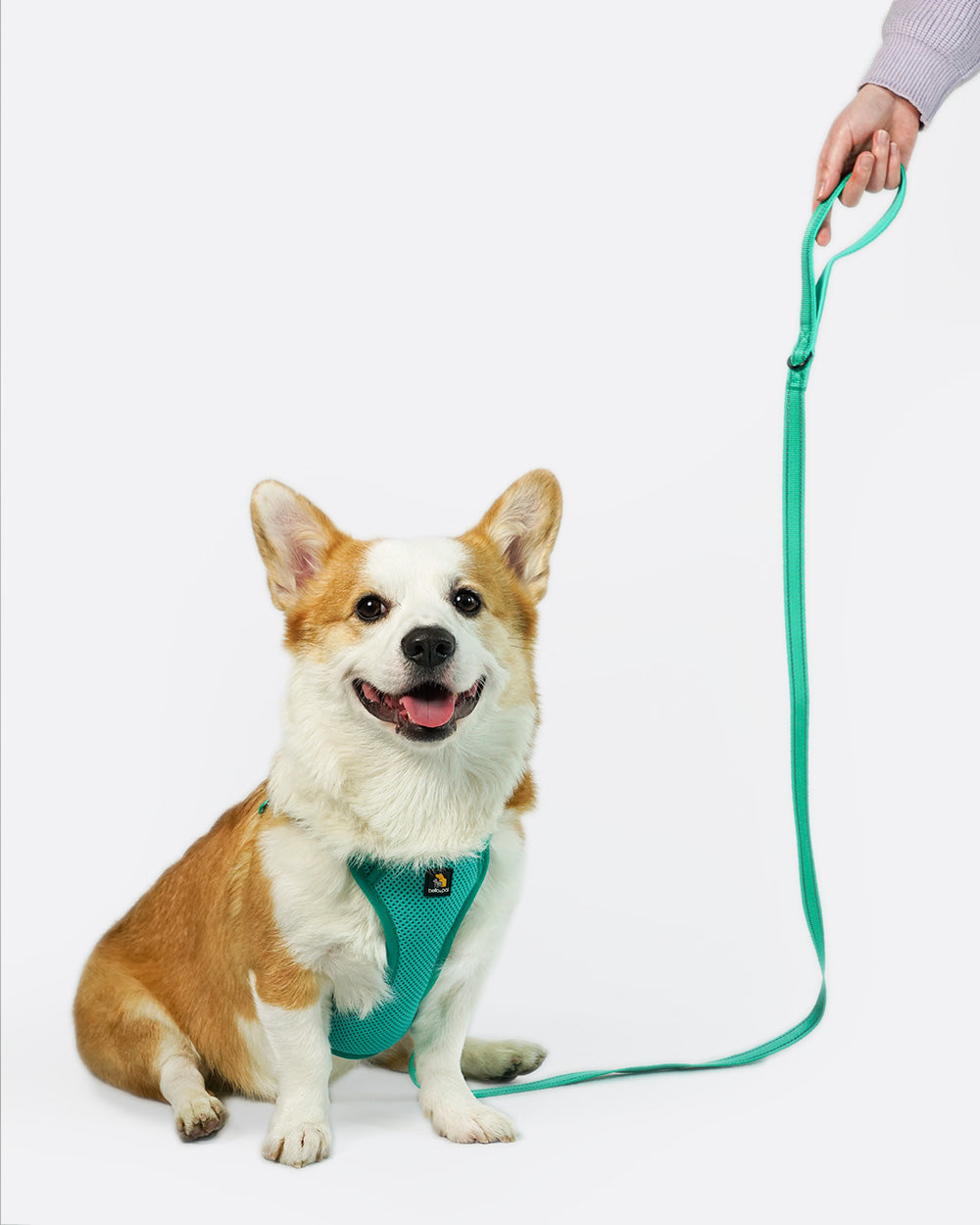 OxyMesh Flexi Step-in Harness and Leash Set - Emerald