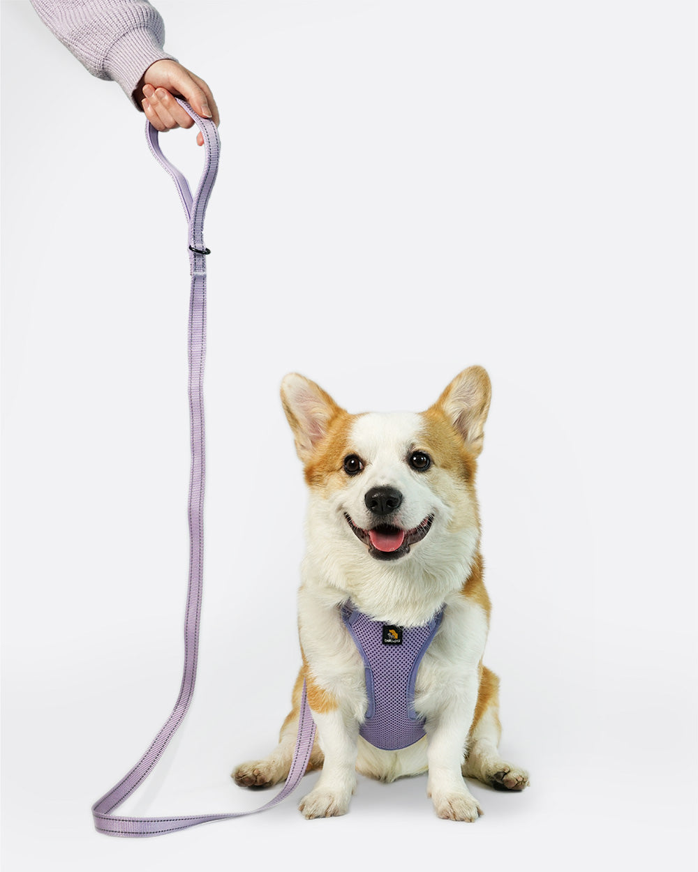 OxyMesh Flexi Step-in Harness and Leash Set - Lavender