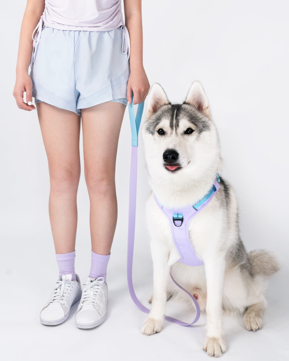 A stylish dog harness in lavender blue, suitable for daily walking and outdoor activities,  which matches the waterproof dog leash