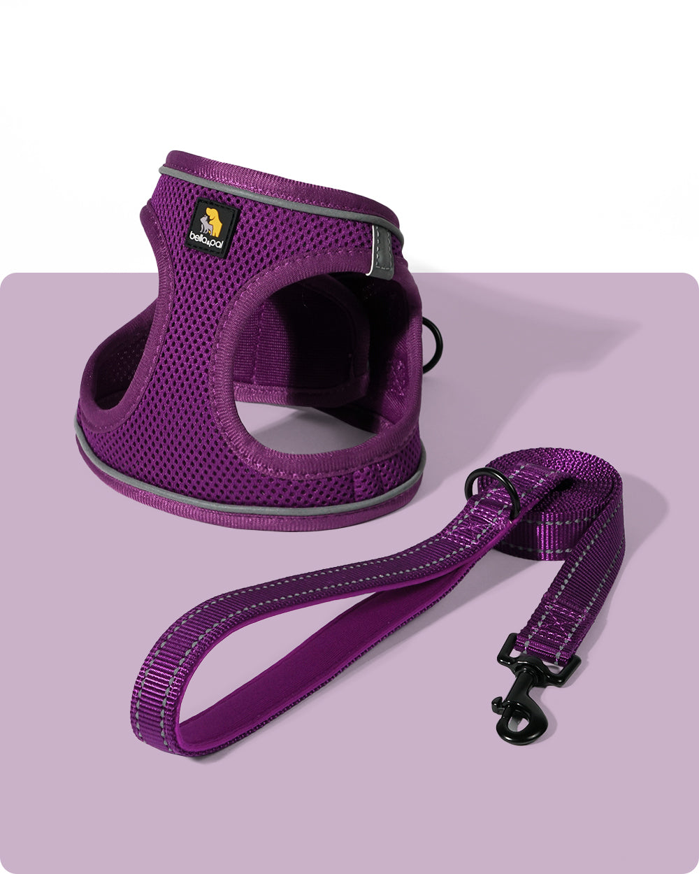 OxyMesh Velcro Step-in Harness and Leash Set - Grape