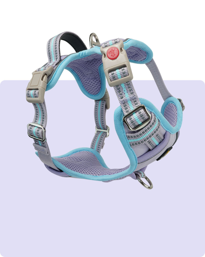 Safety Harness, ISO 12401