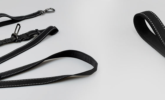 Ultimate 6-in-1 Hands-Free Dog Leash
