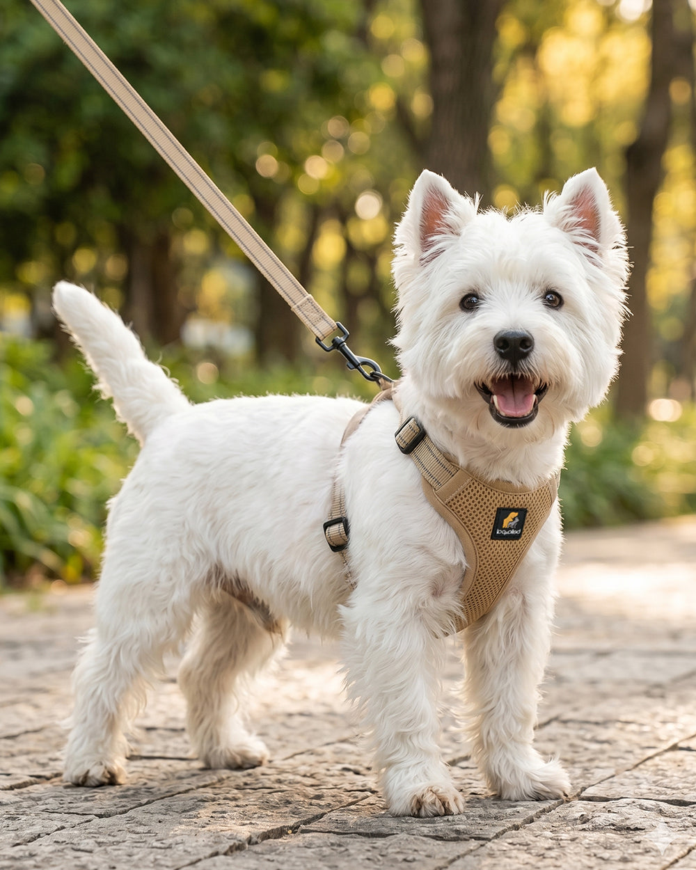 OxyMesh Flexi Step-in Harness and Leash Set - Tan