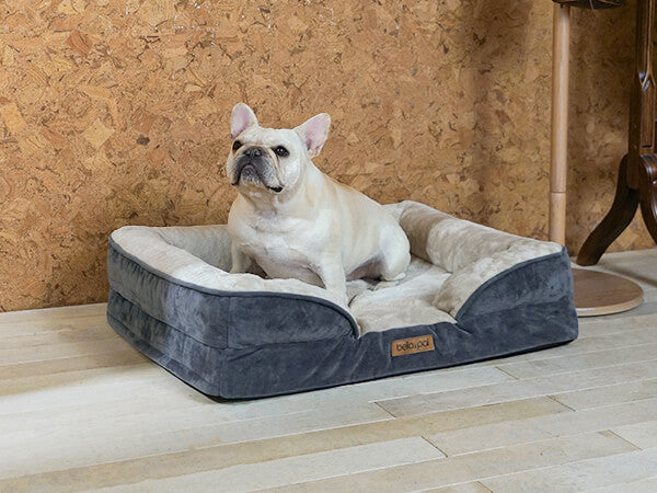 Orthopedic Dog Bed with Bolster – Joint Support & Waterproof Liner