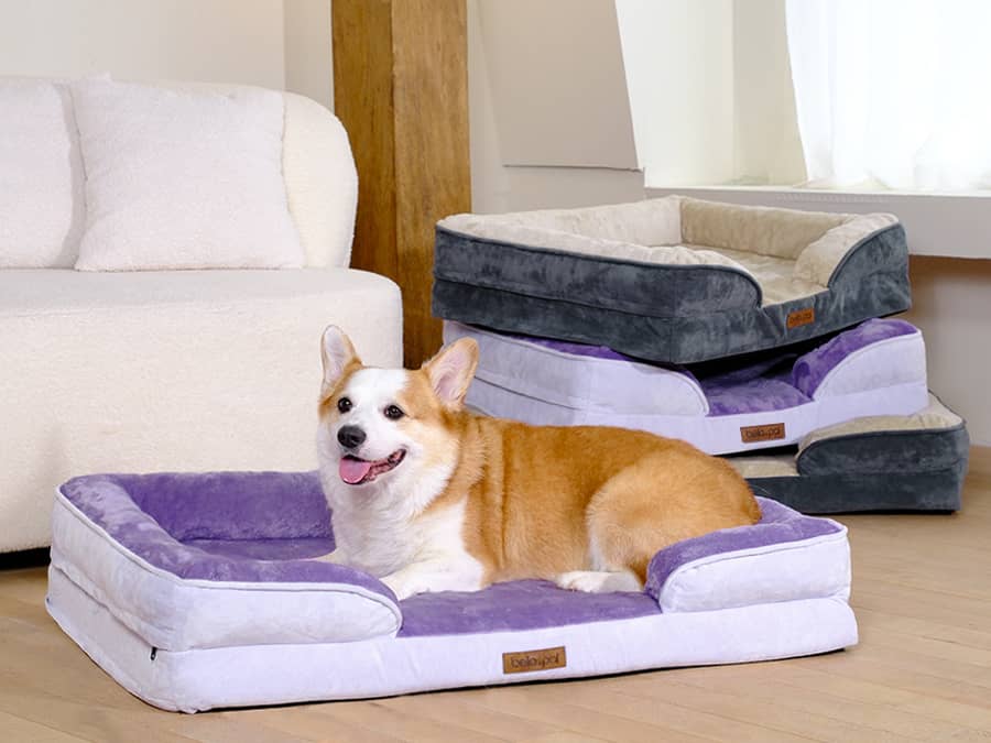 Orthopedic Dog Bed with Bolster – Joint Support & Waterproof Liner