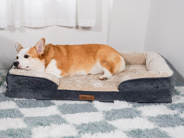 DF Co. Orthopedic Dog Bed For Arthritis Relief | Lavender-Scented, Waterproof, Machine Washable, Anti-Slip | Beige, Large Size