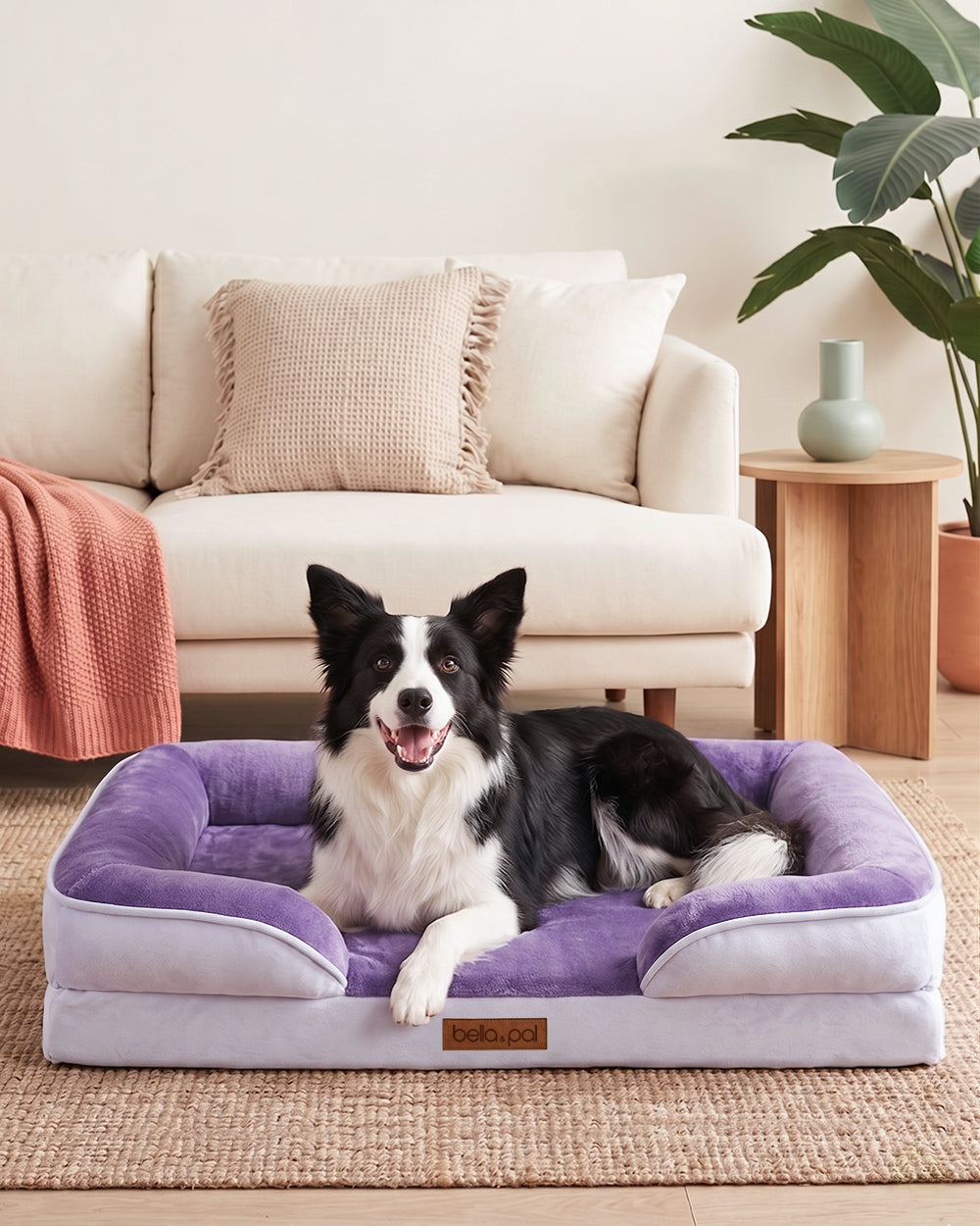 Orthopedic Dog Bed Cover - Lavender Luxe