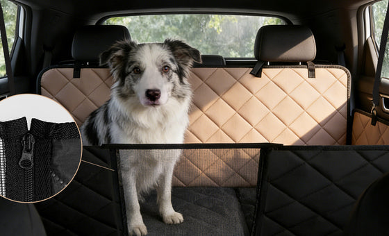 Hard-Bottom Backseat Extender