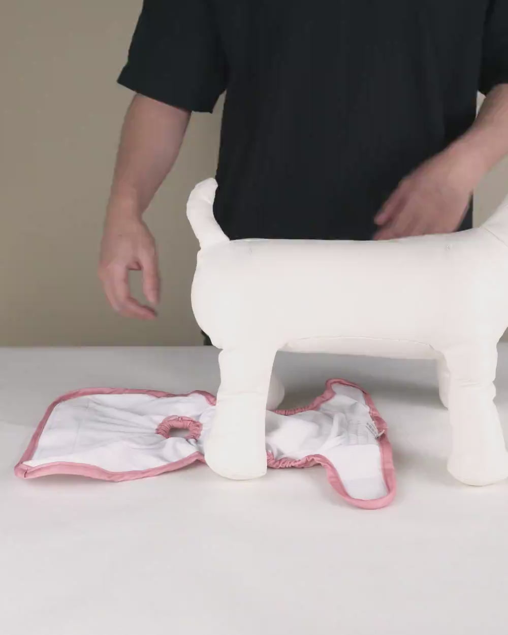 Washable Female Dog Diaper Set - Pink Delight