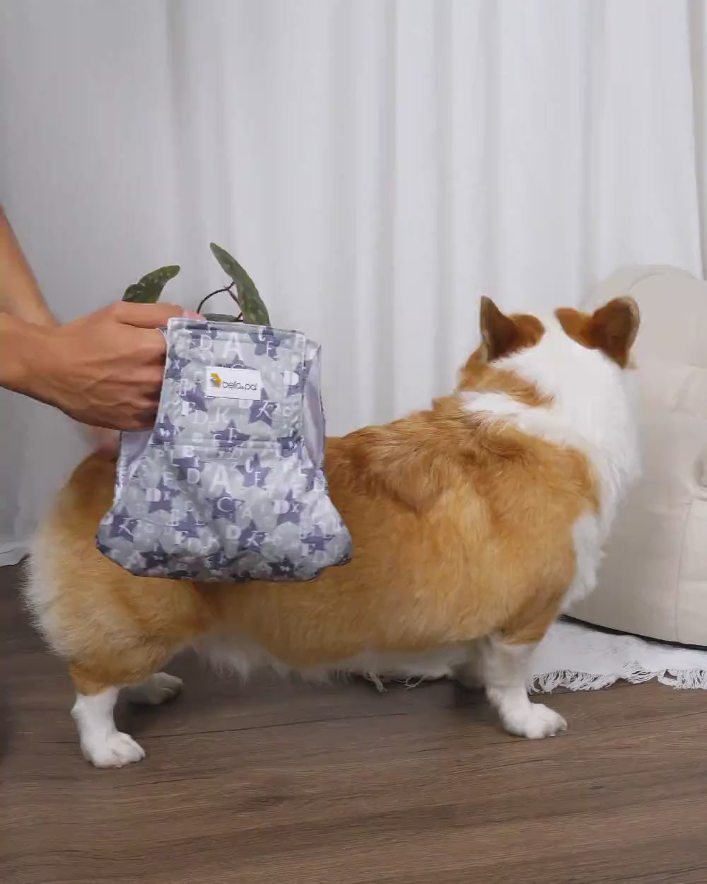 Washable Male Dog Belly Band - Light Alphabet