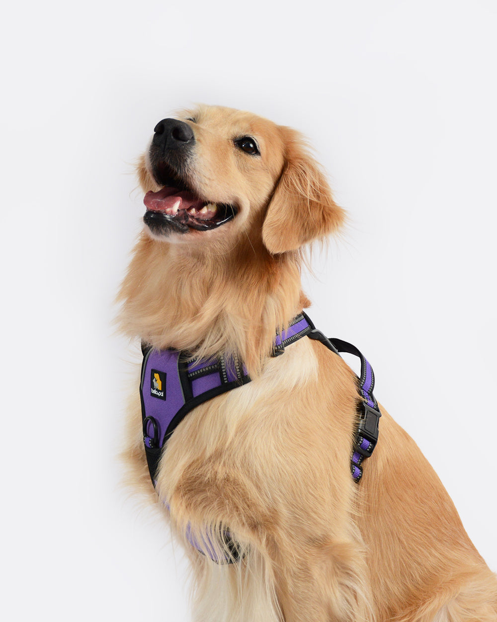 Smart Pro No Pull Dog Harness - French Violet