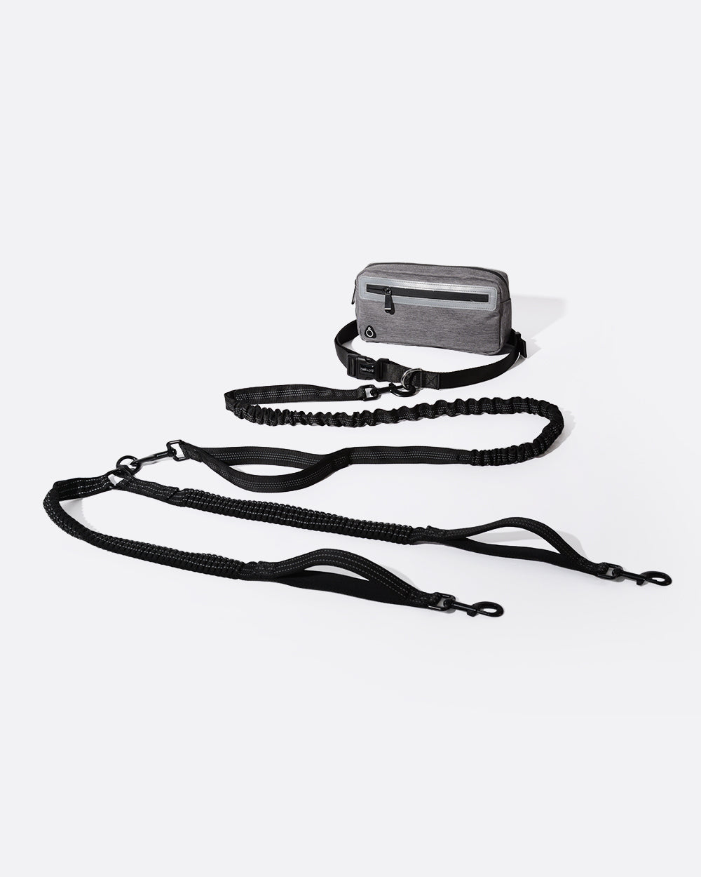 Hands-Free Double Dog Leash with Pouch