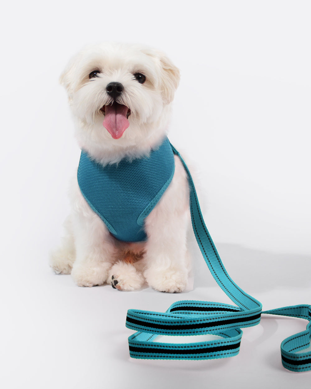 Simply Soft Harness and Leash Set - Mystery Blue