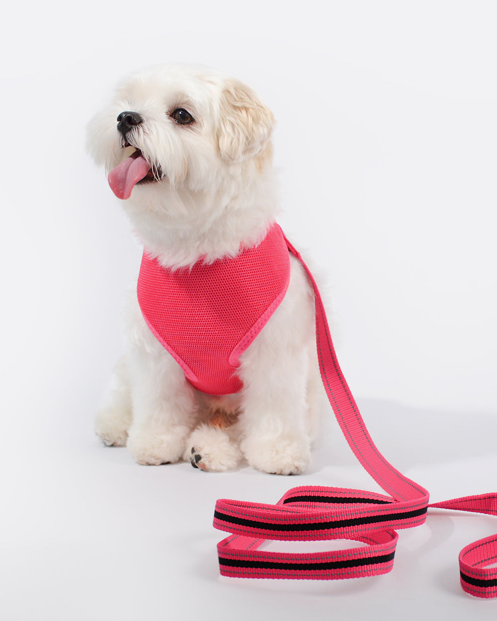 空氣感透氣寵物胸背帶連牽繩組合 - 玫瑰粉色
