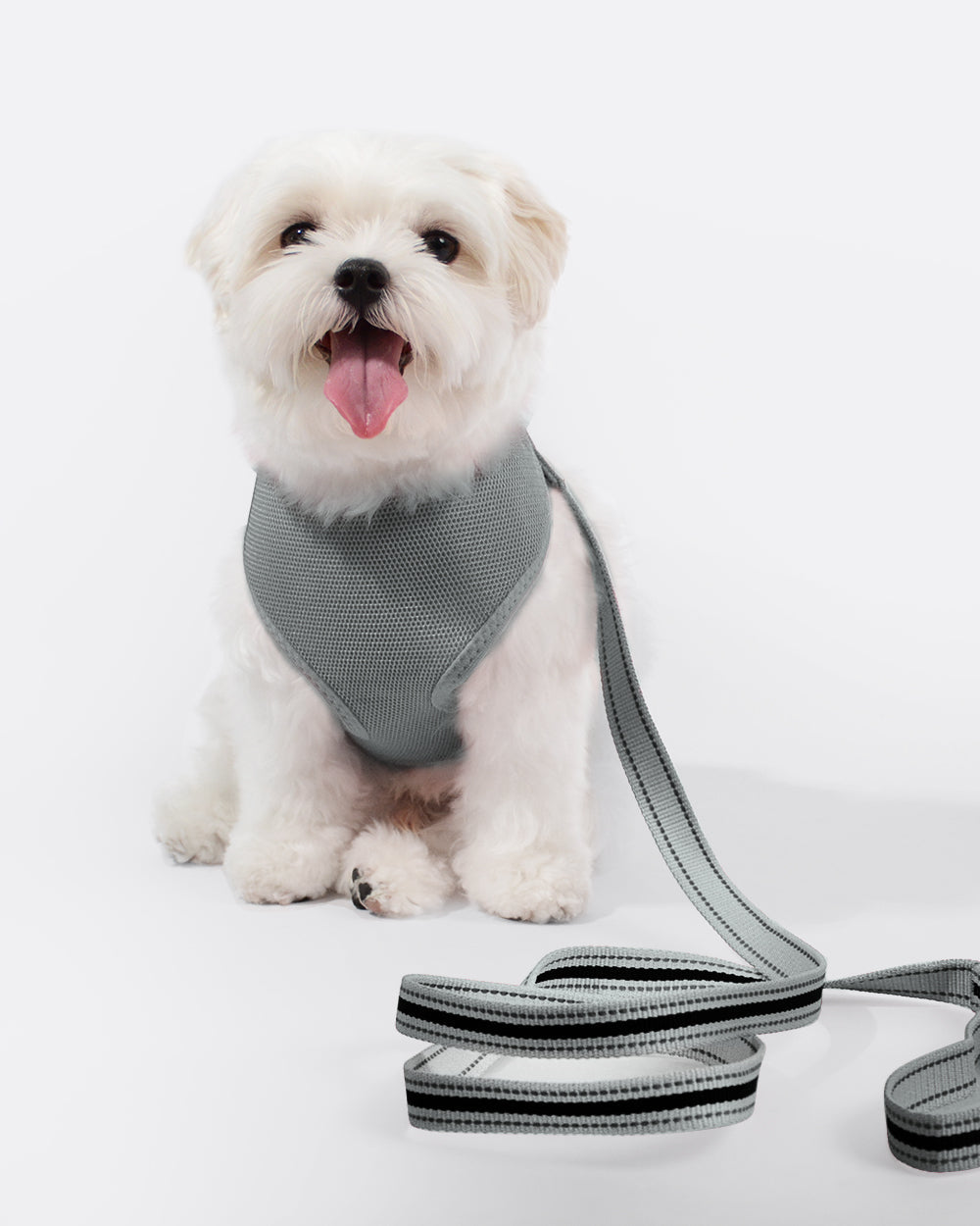 Simply Soft Harness and Leash Set - Silver Gray