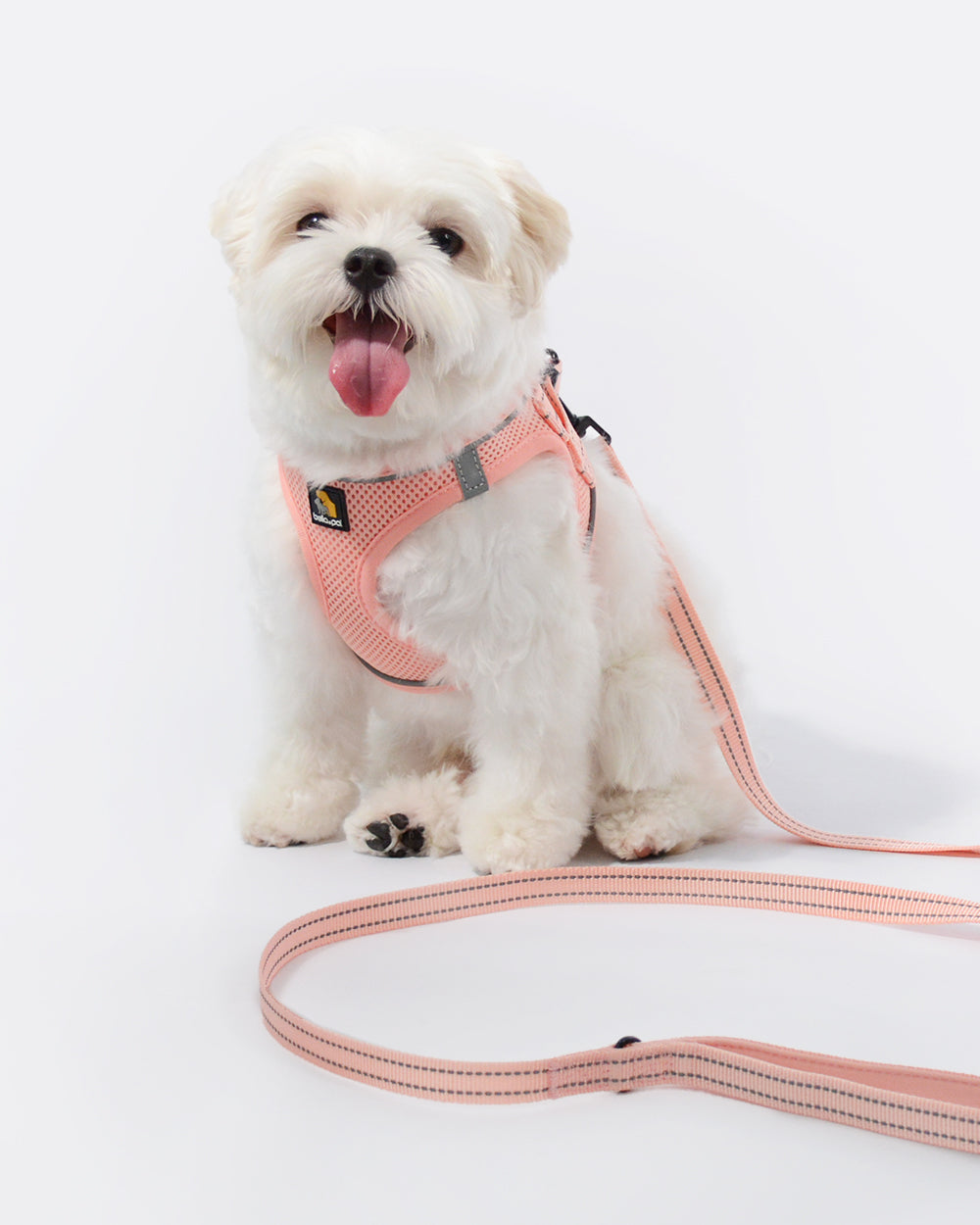 OxyMesh Velcro Step-in Harness Walking Set- Coral Pink