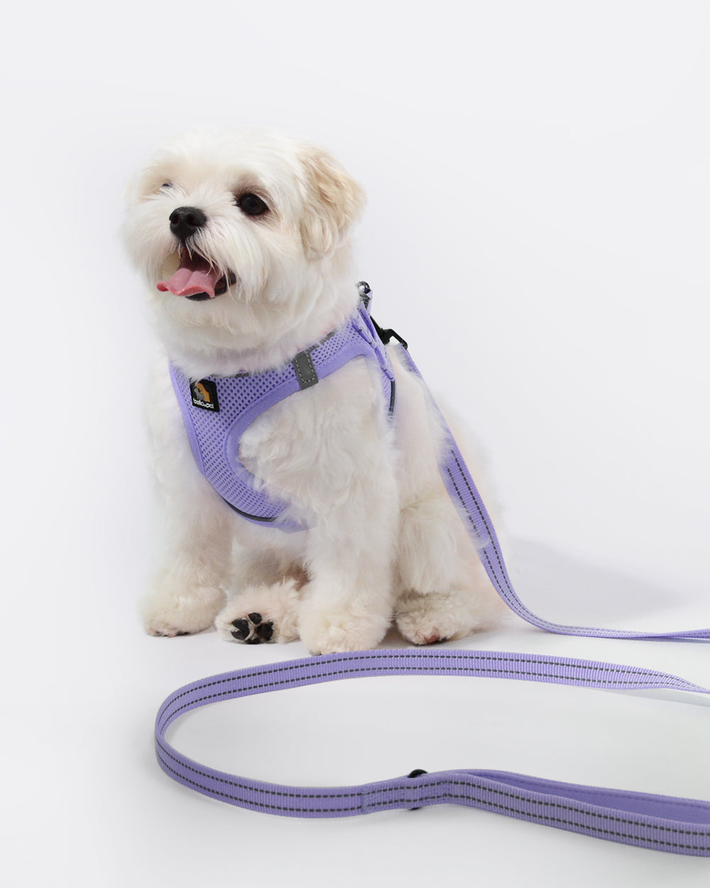 HighQuality Dog Harnesses, Leashes & Gears BELLA & PAL BELLA & PAL