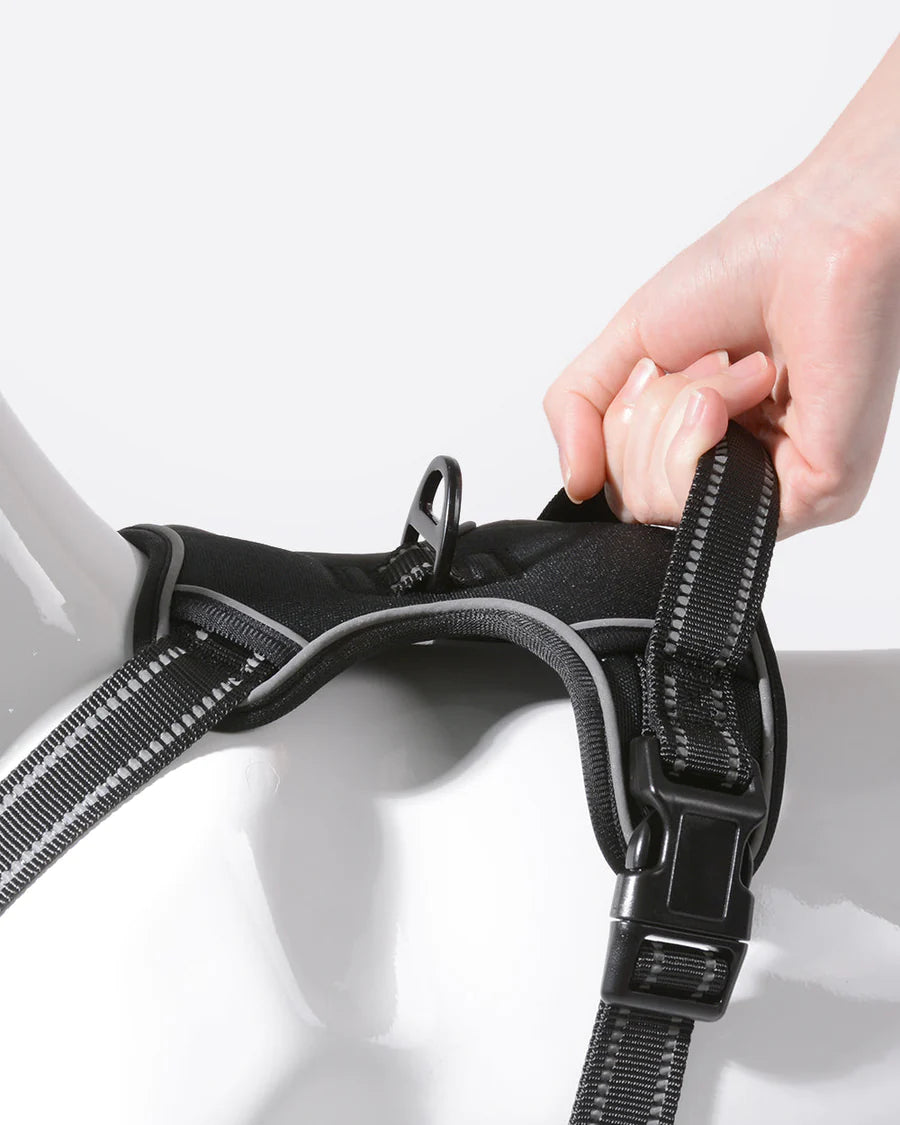 Smart Pro 胸背帶和多功能6合1牽引繩套裝 - 經典黑