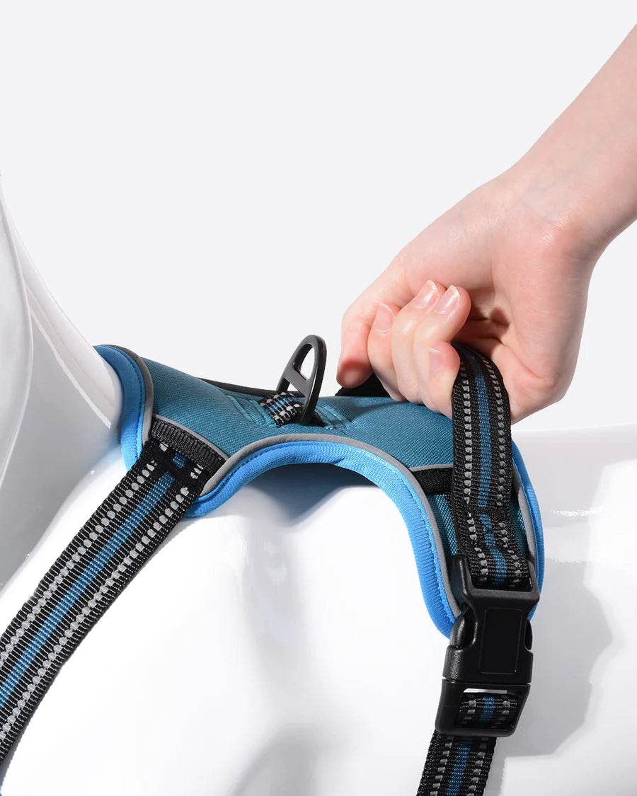Smart Pro 胸背帶和多功能6合1牽引繩套裝 - 耶魯藍