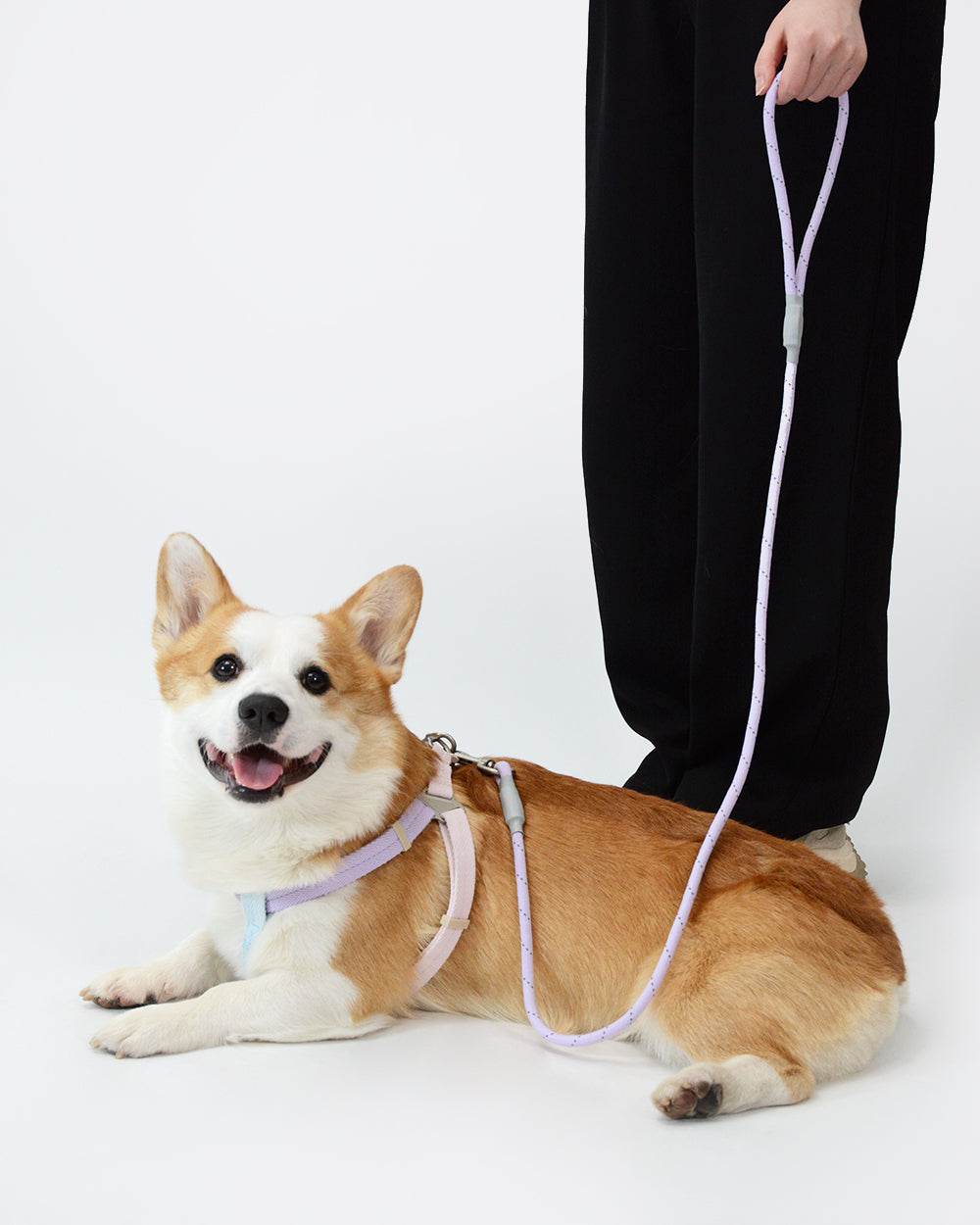 Soft Move 步入式寵物胸背帶連牽繩套裝 - 極光